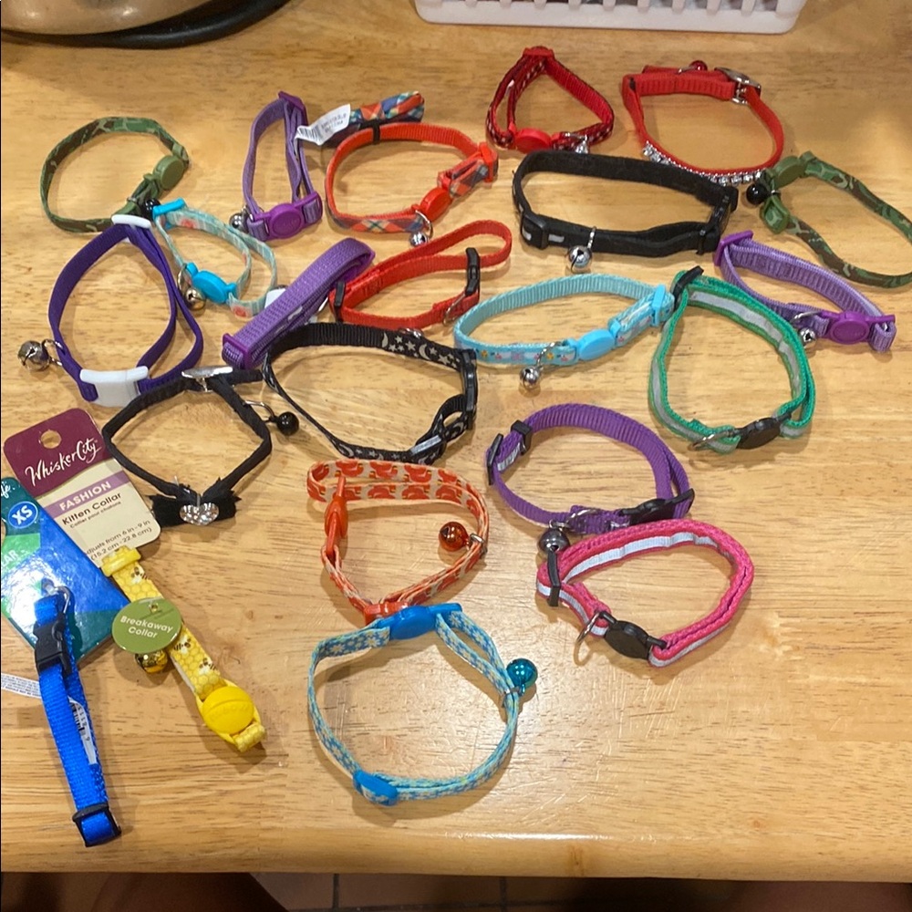 Cat Collars